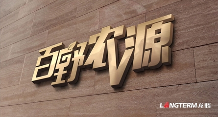 成都公司前台LOGO墙设计 塑造品牌形象的门面艺术